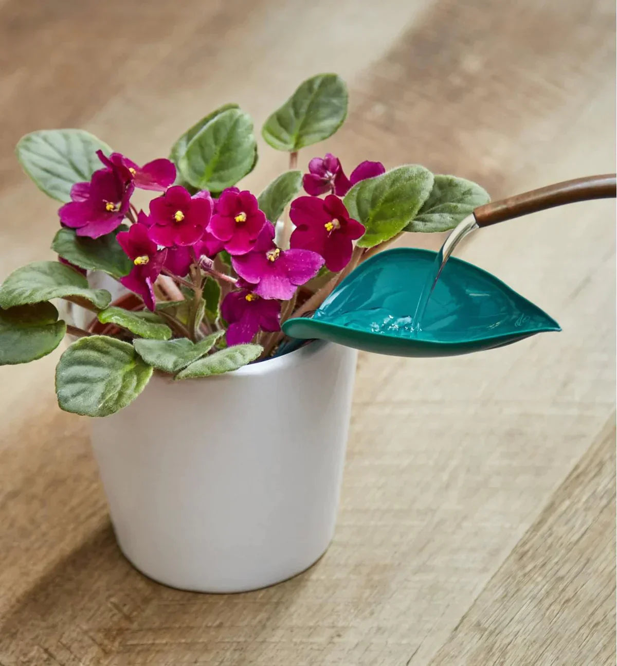 Watering Leaves