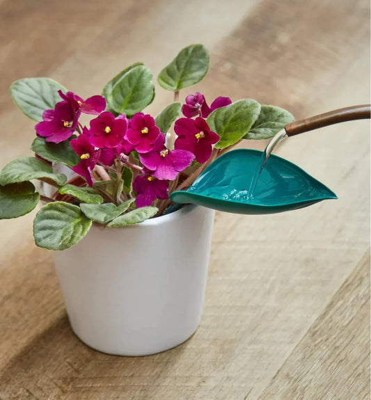 Watering Leaves